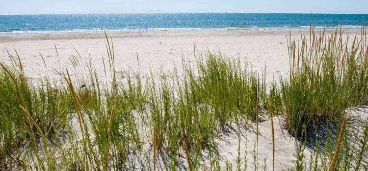 Art_coastal_fls1514726407 Art_coastal_fls1514726407