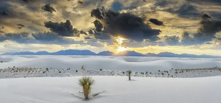 DS0935_1024x1024 DS0935_1024x1024