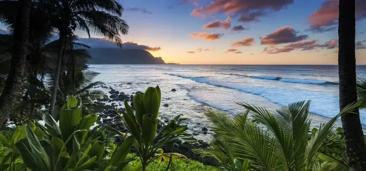 DS0966_1024x1024 DS0966_1024x1024