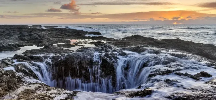 DS1085_1024x1024 DS1085_1024x1024