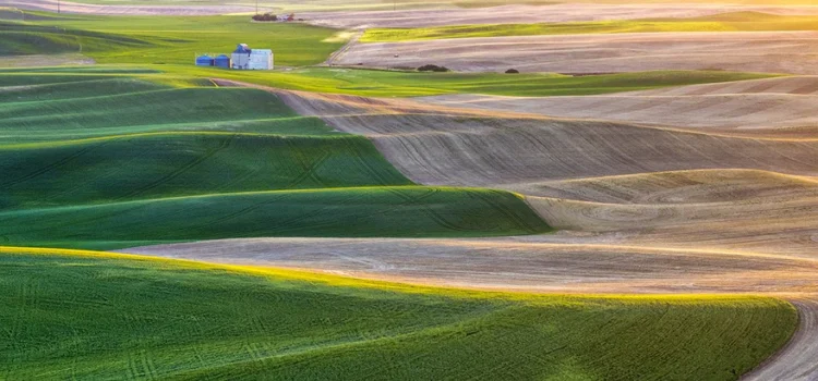 DS1112_1024x1024 DS1112_1024x1024